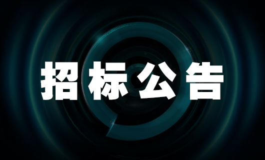 2025年九游在线客服安装服务项目-招标公告